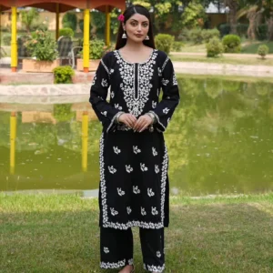 PL-10 Lakhnavi Chiken Kurti